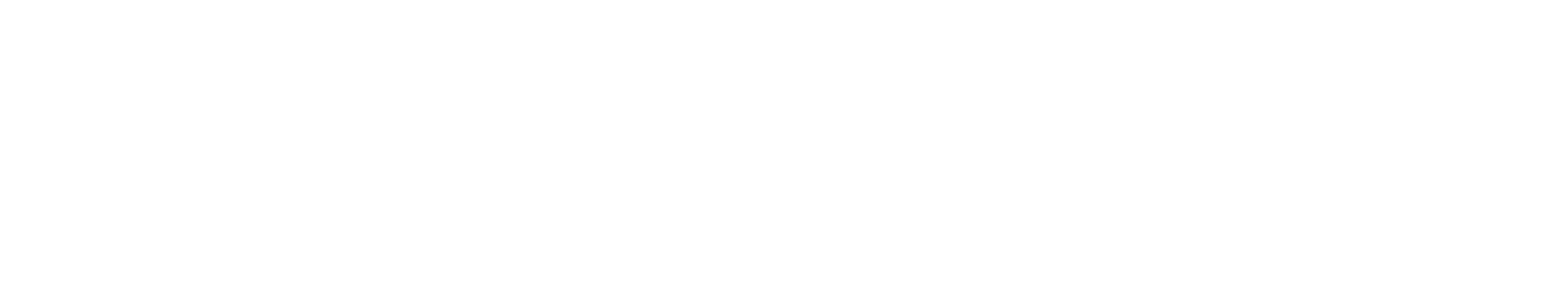 Poco logo 2022 weiß