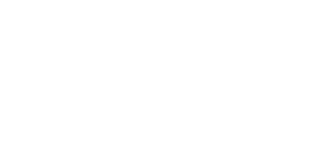 Stadtwerke Karlsruhe logo