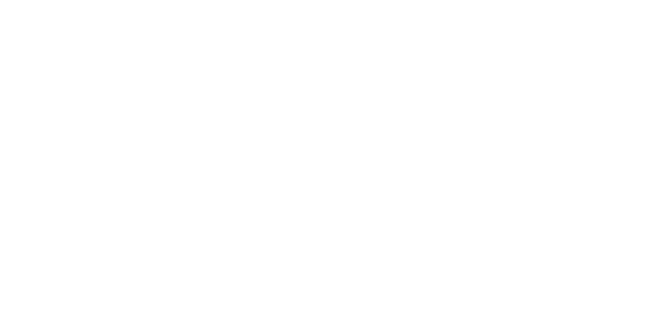 Bvb